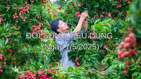 Bản tin Đời sống tiêu dùng ngày 7/5