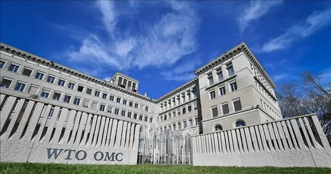 Việt Nam tham gia các phiên họp phòng vệ thương mại WTO