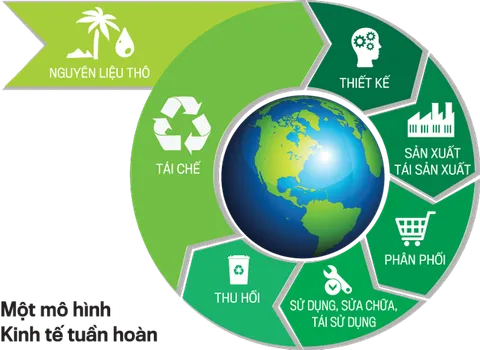 Phát triển công nghệ sinh học, thúc đẩy kinh tế tuần hoàn