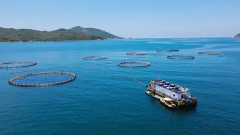 Ngành thủy sản thích ứng biến động thương mại toàn cầu