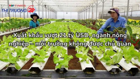 Xuất khẩu vượt 21 tỷ USD, ngành nông nghiệp – môi trường không được chủ quan