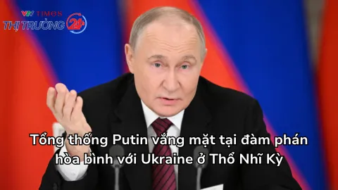 Tổng thống Putin vắng mặt tại đàm phán hòa bình với Ukraine ở Thổ Nhĩ Kỳ
