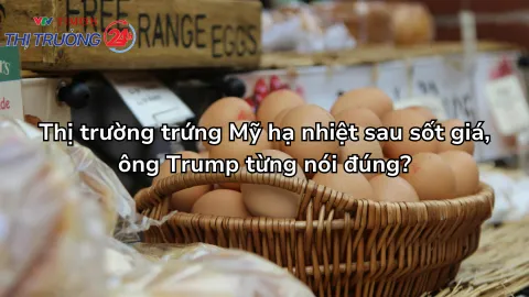 Thị trường trứng Mỹ hạ nhiệt sau sốt giá, ông Trump từng nói đúng?