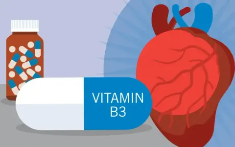 Những loại vitamin có thể hỗ trợ giảm mỡ máu