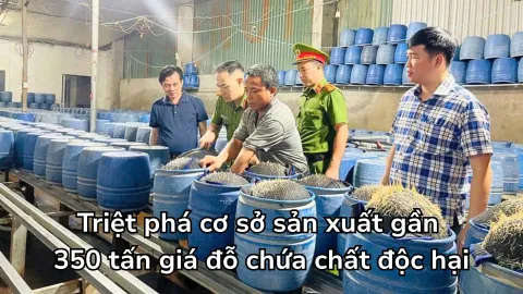 Lào Cai: Triệt phá cơ sở sản xuất gần 350 tấn giá đỗ chứa chất độc hại