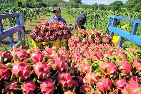 EU gia tăng kiểm soát chất lượng nông sản