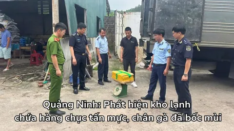 Phát hiện kho lạnh chứa hàng chục tấn mực, chân gà đã bốc mùi