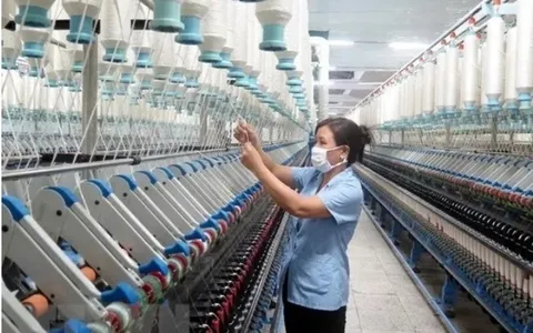 Những chính sách kinh tế mới nổi bật có hiệu lực từ 6/2025