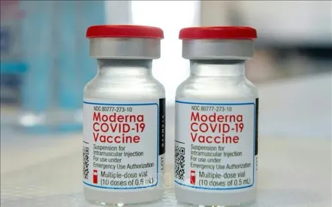 FDA phê duyệt vaccine COVID-19 thế hệ mới cho người cao tuổi