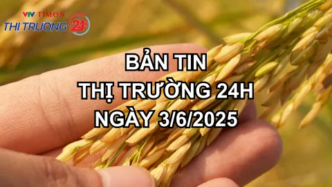 Bản tin Thị trường 24h ngày 3/6