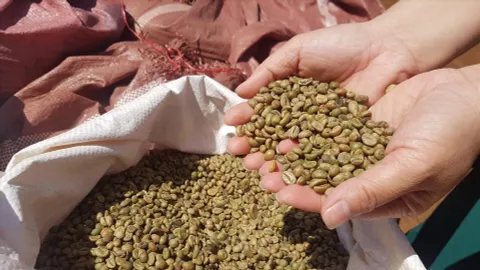 Cập nhật giá cà phê 2/6: Giá cà phê trong nước giảm từ 1.000 - 1.200 đồng/kg