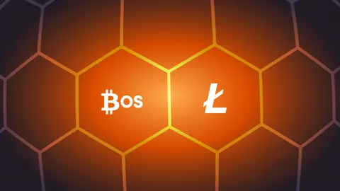 BitcoinOS mở ra “thời kỳ phục hưng” cho Litecoin với ZK Rollup đầu tiên