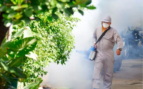Phản ánh điểm nguy cơ sốt xuất huyết qua ứng dụng của ngành Y tế