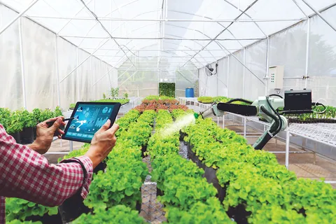 Bứt phá nền kinh tế số: Big Data “cầm lái” nông nghiệp thông minh Việt Nam năm 2025
