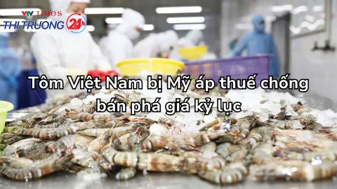 Tôm Việt Nam bị Mỹ áp thuế chống bán phá giá kỷ lục