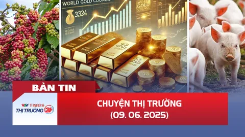 Bản tin Thị trường 24h ngày 9/6