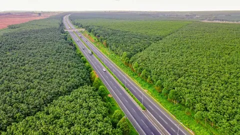 Rút ngắn thời gian mở rộng cao tốc TP Hồ Chí Minh - Long Thành