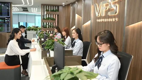 Chứng khoán Nhất Việt sắp phát hành hơn 10 triệu cổ phiếu để trả cổ tức năm 2024