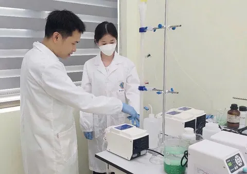 Ứng dụng công nghệ tiên tiến tái chế nước thải chăn nuôi lợn thành phân bón Struvite chất lượng cao