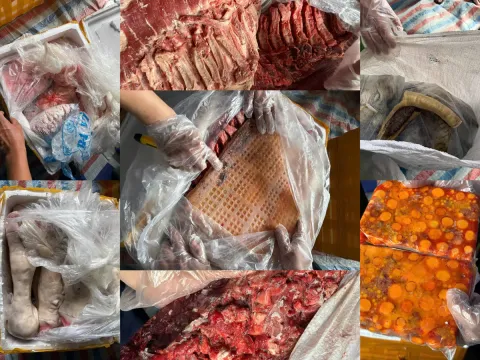Chặn đứng container chở hơn 20 tấn nội tạng bốc mùi trên đường vào Nam tiêu thụ