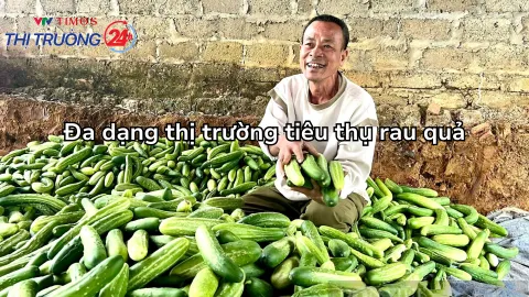 Đa dạng thị trường tiêu thụ rau quả