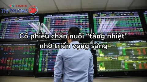 Cổ phiếu chăn nuôi “tăng nhiệt” nhờ triển vọng sáng
