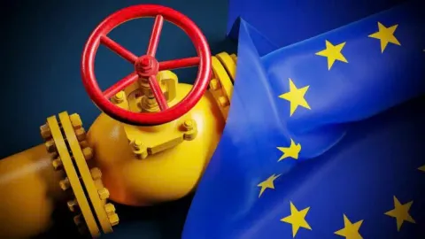 Eu cho phép doanh nghiệp phá vỡ hợp đồng khí đốt với Nga