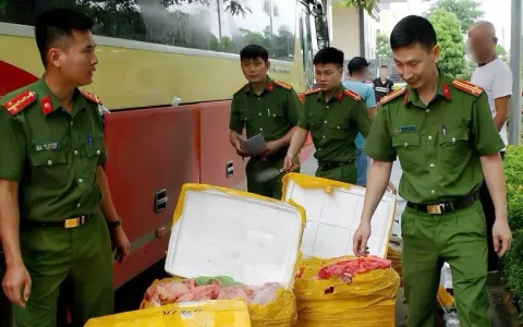 Phát hiện xe khách chở 476kg nội tạng không rõ nguồn gốc
