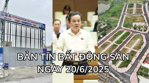 Bản tin Bất động sản ngày 20/6