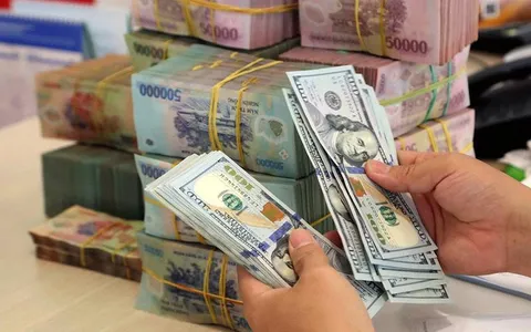 VND mất giá mạnh so với Euro, Bảng Anh, Yên Nhật và Đô la Úc từ đầu năm: Những áp lực từ nội tại và quốc tế