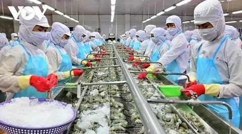 80% doanh nghiệp Việt Nam đã chủ động ứng phó với tác động từ thuế quan của Hoa Kỳ