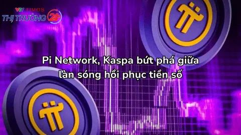 Pi Network, Kaspa bứt phá giữa làn sóng hồi phục tiền số