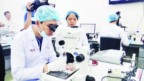 Bước chuyển mình mới của giáo dục đại học Việt Nam