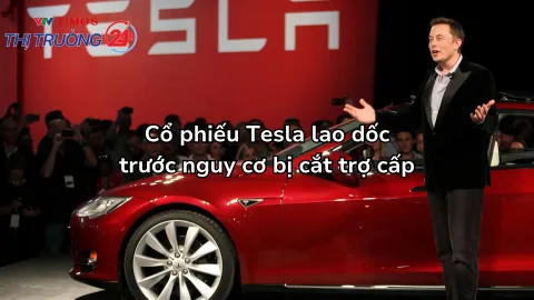 Cổ phiếu Tesla lao dốc trước nguy cơ bị cắt trợ cấp