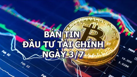 Bản tin Đầu tư tài chính 3/7