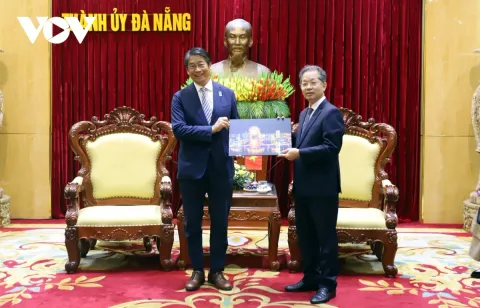 Nhật Bản mong muốn đầu tư Dự án đường sắt đô thị Đà Nẵng - Hội An