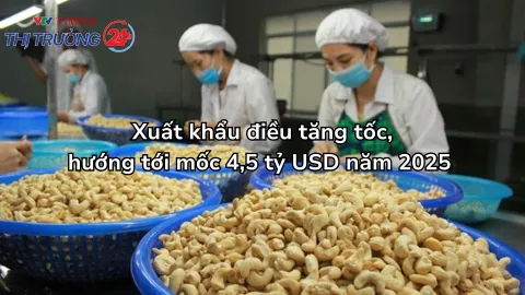 Xuất khẩu điều tăng tốc, hướng tới mốc 4,5 tỷ USD năm 2025