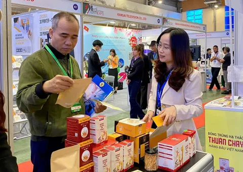 Trà thảo mộc Việt Nam: Cơ hội vươn tầm từ những sản phẩm bản địa