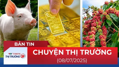 Bản tin Thị trường 24h ngày 8/7