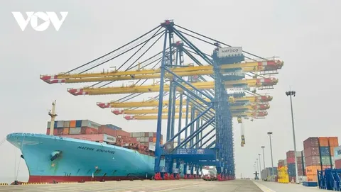 Thủ tướng chấp thuận xây dựng thêm 4 bến cảng container tại Hải Phòng