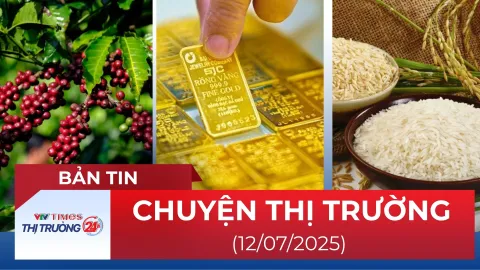 Bản tin Thị trường 24h ngày 12/7