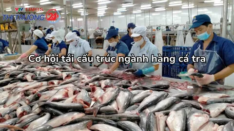 Cơ hội tái cấu trúc ngành hàng cá tra