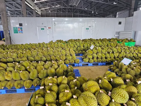Đặt mục tiêu có 5.000 doanh nghiệp nông nghiệp vào năm 2030