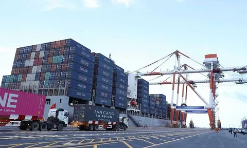 Công bố loạt thủ tục hành chính mới trong lĩnh vực xuất nhập khẩu