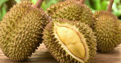 Mở rộng thị trường xuất khẩu trái cây