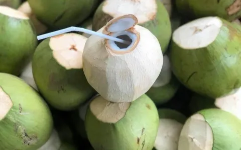 Dừa tươi Việt Nam: Từ đặc sản địa phương đến ngành hàng tỷ USD