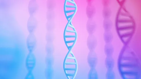 AlphaGenome: Mô hình AI của Google giúp giãi mã vùng DNA bí ẩn
