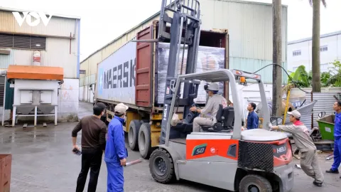 Doanh nghiệp Việt cần thay đổi mô hình xuất khẩu khi Mỹ áp thuế đối ứng 20%