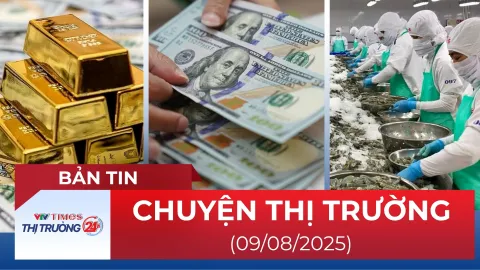 Bản tin Thị trường 24h ngày 9/8
