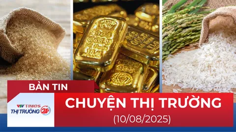 Bản tin Thị trường ngày 10/8